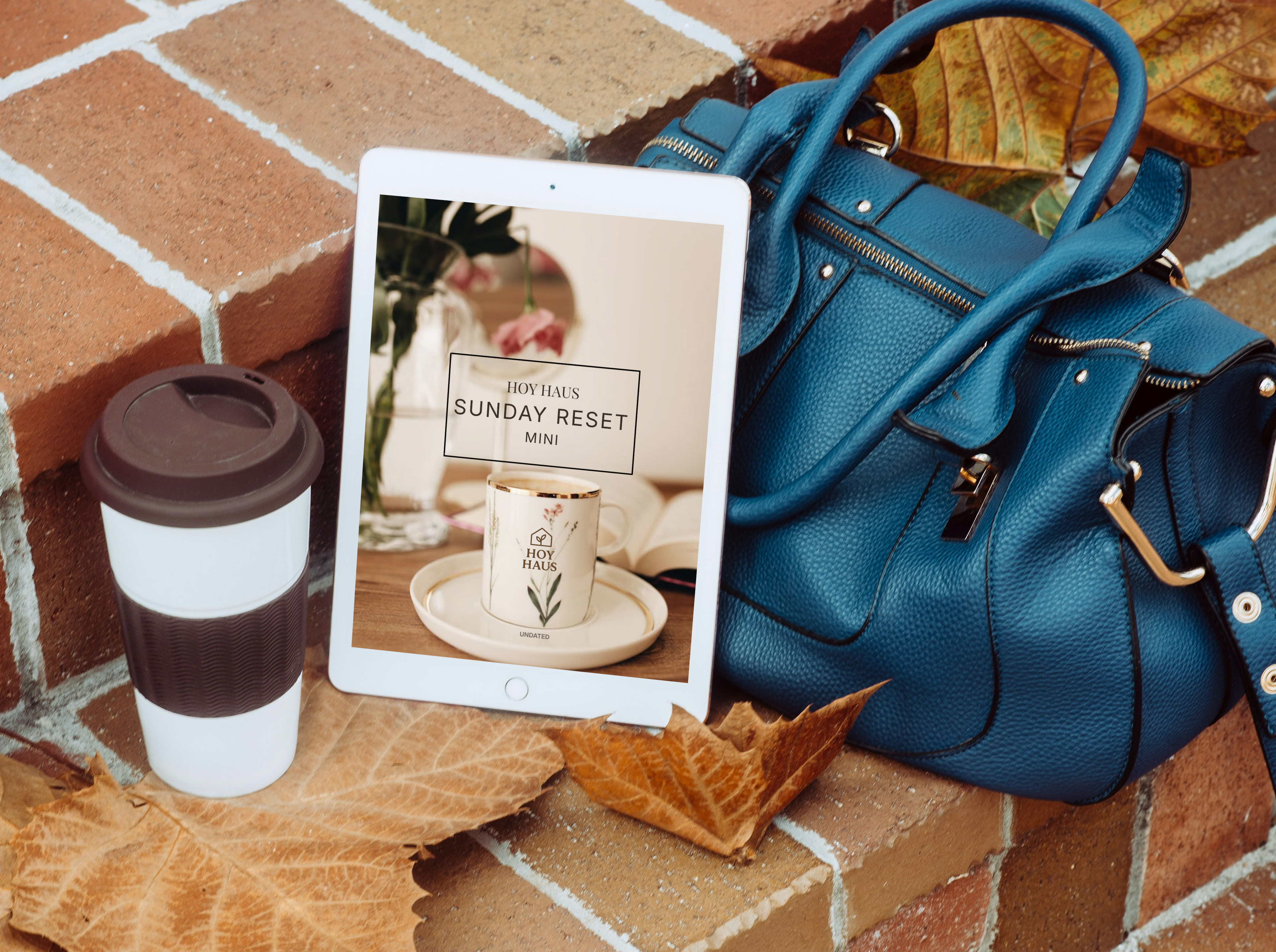 SUNDAY RESET MINI PLANNER (PRINTABLE + DIGITAL)